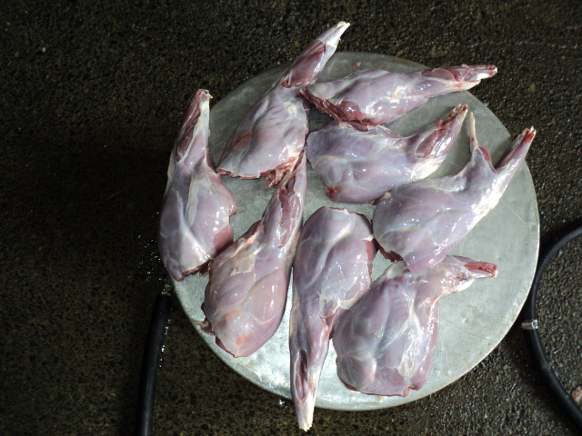 Name:  picture 2250.jpg
Views: 297
Size:  164.9 KB