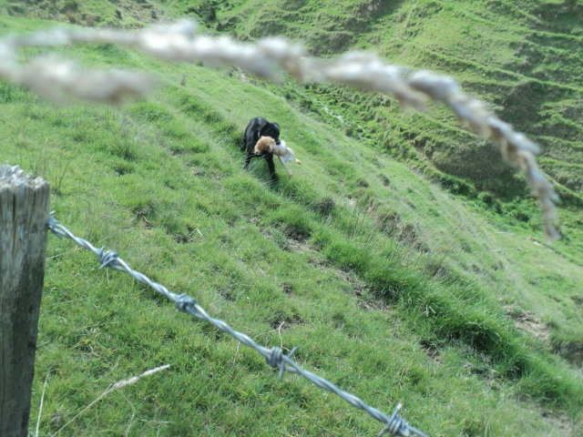 Name:  picture 01 1597.jpg
Views: 282
Size:  164.5 KB