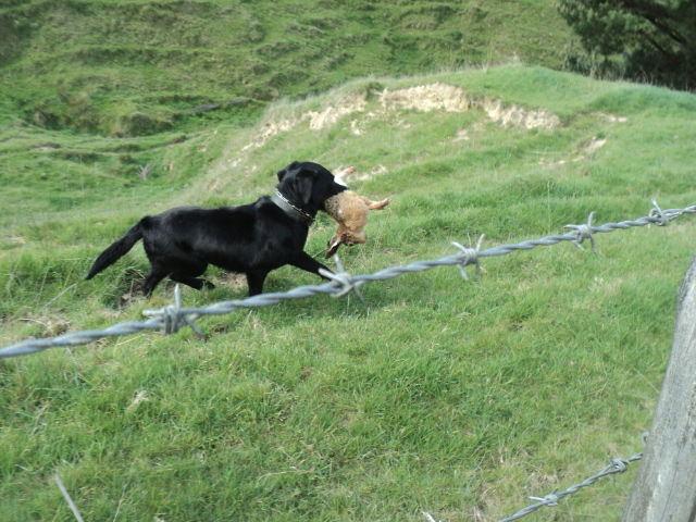 Name:  picture 01 1598.jpg
Views: 283
Size:  165.3 KB
