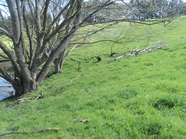 Name:  picture 01 1632.jpg
Views: 266
Size:  164.9 KB