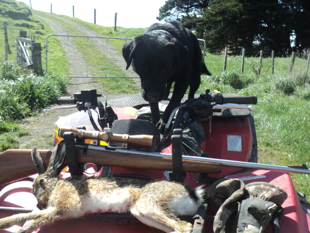 Name:  picture 01 1638.jpg
Views: 293
Size:  162.1 KB