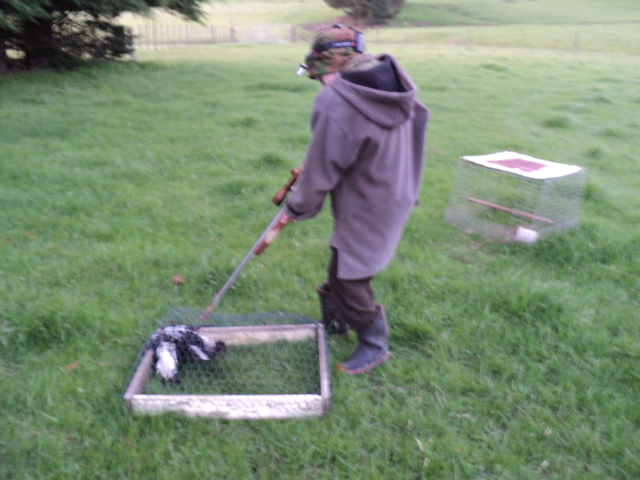 Name:  picture 2268.jpg
Views: 358
Size:  164.5 KB