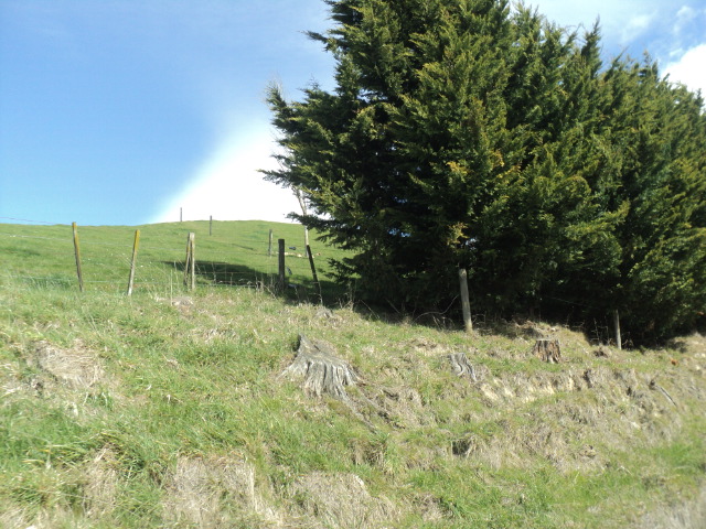 Name:  picture 01 1641.jpg
Views: 460
Size:  164.0 KB