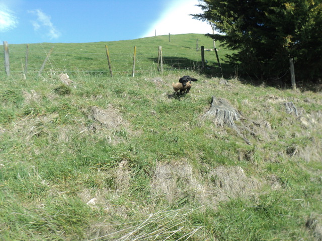 Name:  picture 01 1643.jpg
Views: 470
Size:  165.2 KB