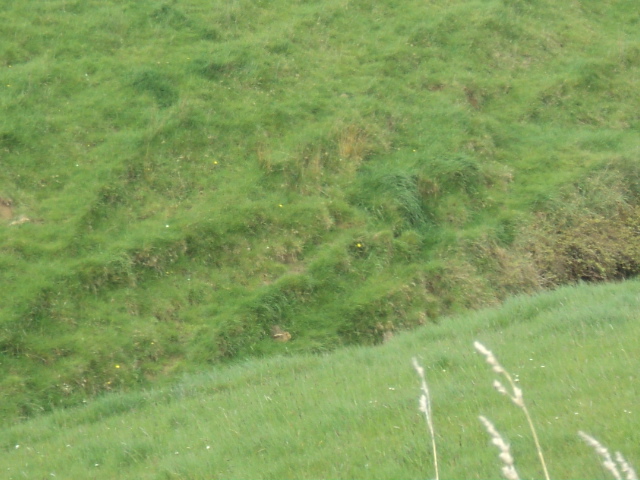 Name:  picture 01 1694.jpg
Views: 256
Size:  164.6 KB