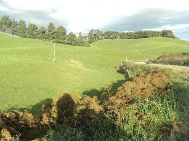 Name:  picture 01 1708.jpg
Views: 344
Size:  164.2 KB