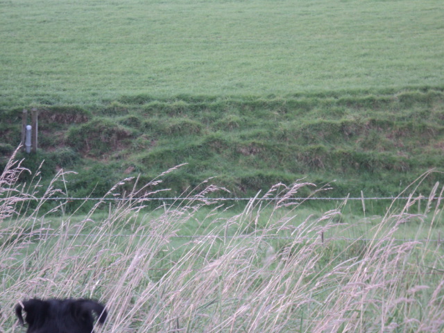 Name:  picture 01 1710.jpg
Views: 346
Size:  164.2 KB