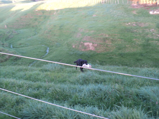 Name:  picture 01 1714.jpg
Views: 375
Size:  165.3 KB