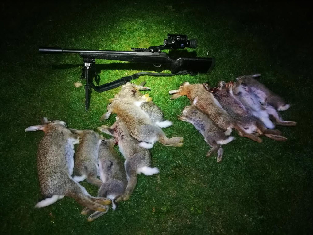 Name:  lavender rabbits.jpg
Views: 226
Size:  153.5 KB