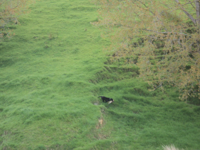 Name:  picture 01 1865.jpg
Views: 425
Size:  162.9 KB