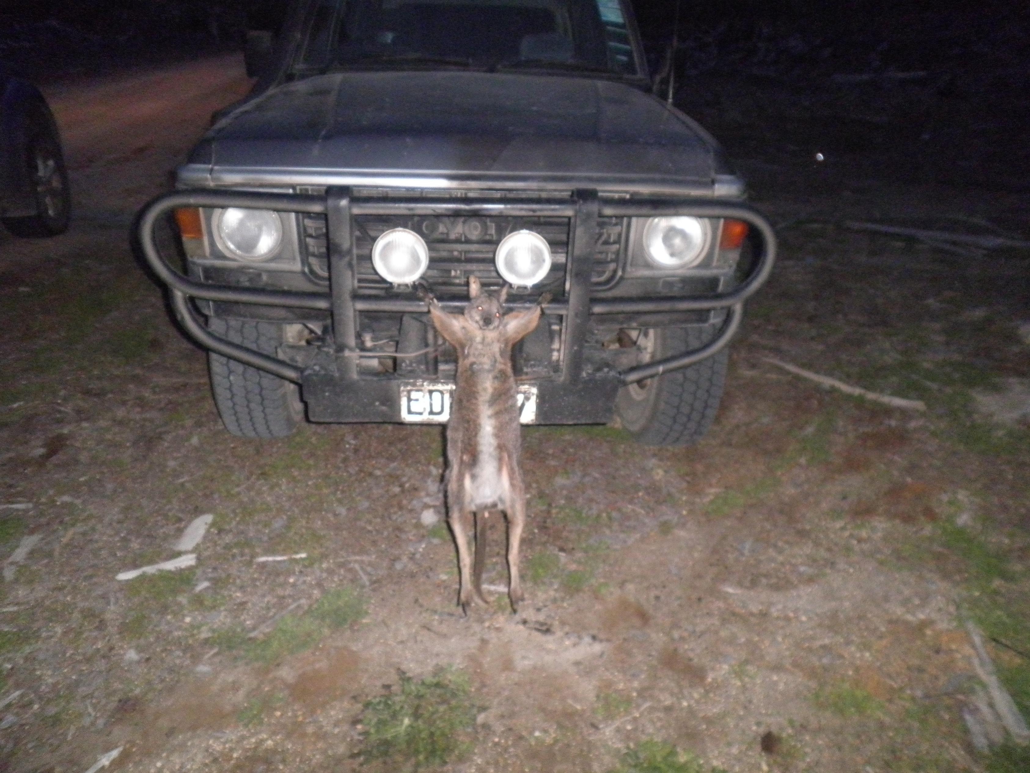 Name:  PA140002.jpg
Views: 587
Size:  1,002.4 KB