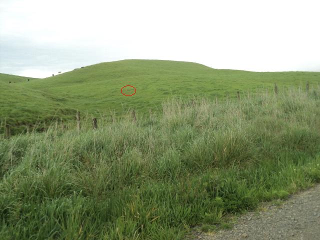 Name:  picture 01 1925.jpg
Views: 250
Size:  65.3 KB