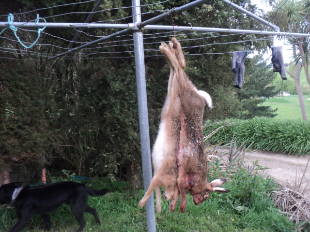 Name:  picture 01 1931.jpg
Views: 248
Size:  163.9 KB