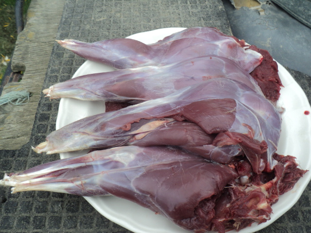 Name:  picture 01 1934.jpg
Views: 246
Size:  163.9 KB