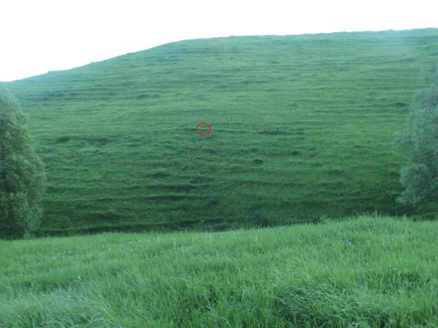 Name:  picture 01 1960.jpg
Views: 302
Size:  64.0 KB