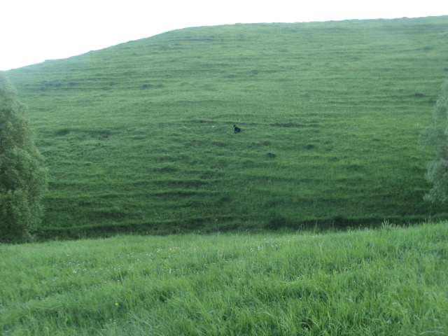 Name:  picture 01 1961.jpg
Views: 305
Size:  164.7 KB