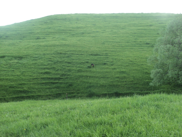 Name:  picture 01 1962.jpg
Views: 299
Size:  164.6 KB