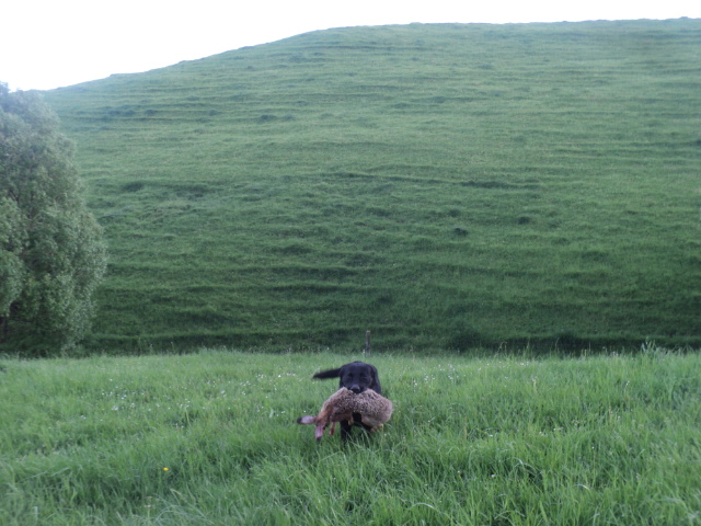 Name:  picture 01 1963.jpg
Views: 296
Size:  163.5 KB