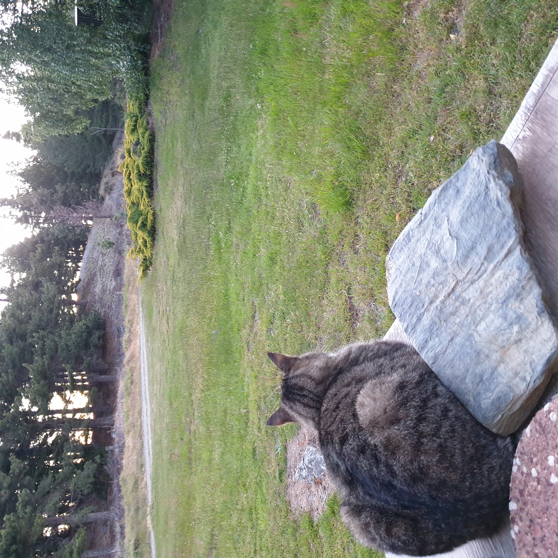 Name:  20201207_211652.jpg
Views: 447
Size:  2.42 MB