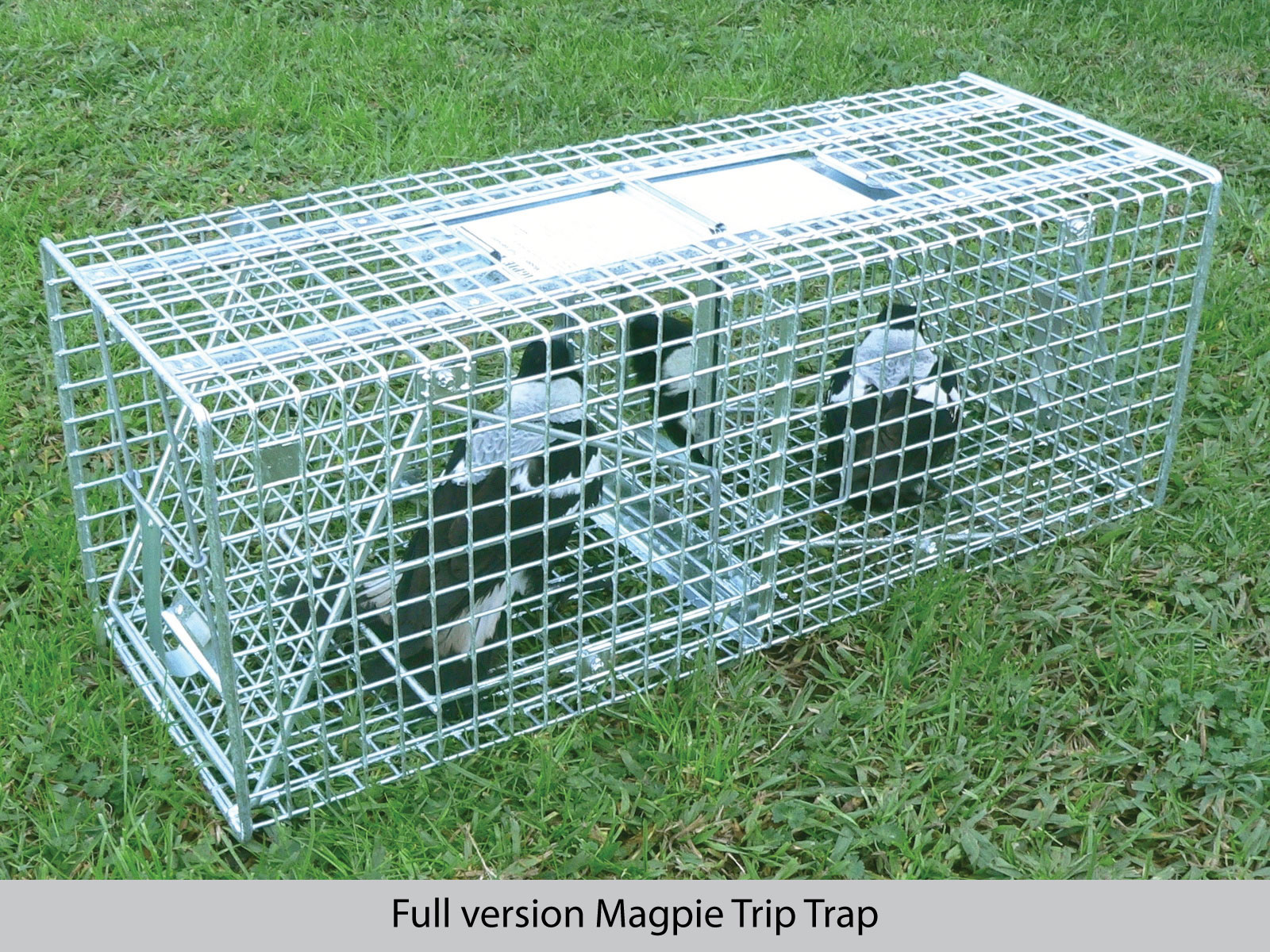 Name:  magpie trap.jpg
Views: 1143
Size:  855.3 KB