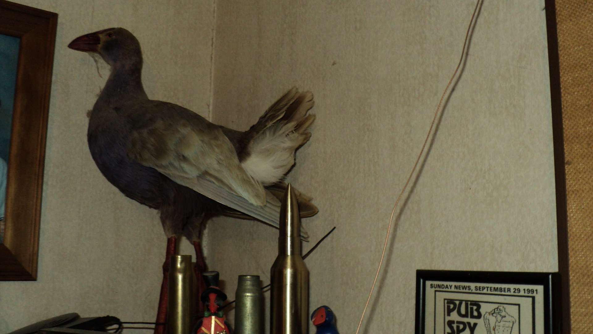 Name:  Picture 107.jpg
Views: 929
Size:  955.1 KB