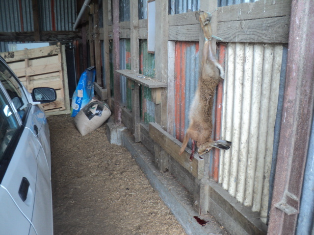 Name:  picture 01 2469.jpg
Views: 314
Size:  163.8 KB