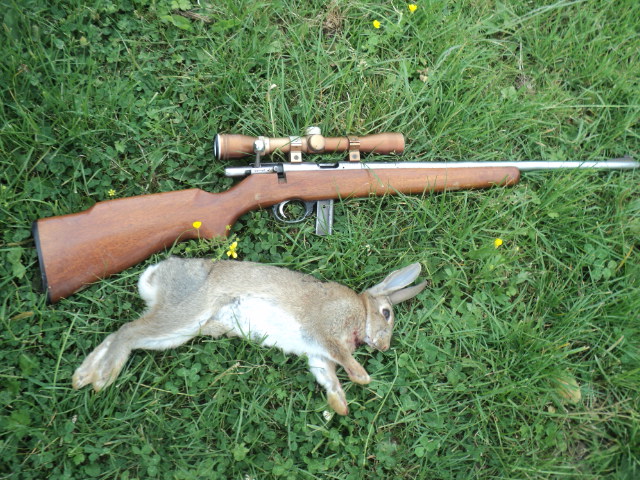 Name:  picture 01 2470.jpg
Views: 317
Size:  164.7 KB