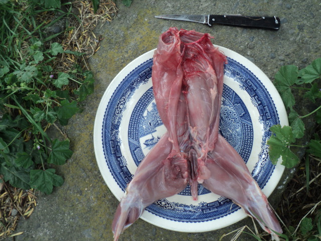 Name:  picture 01 2473.jpg
Views: 300
Size:  164.7 KB