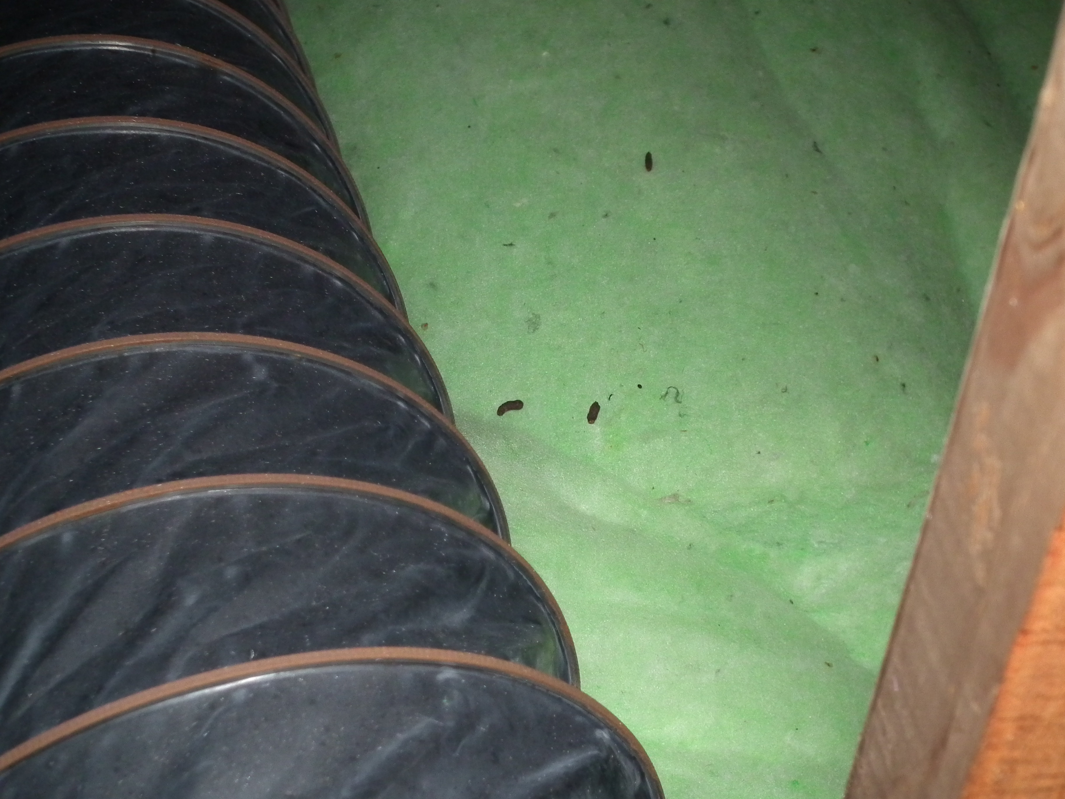 Name:  DSCF0499.JPG
Views: 421
Size:  2.06 MB