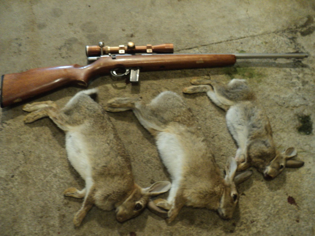 Name:  picture 01 2793.jpg
Views: 191
Size:  162.3 KB