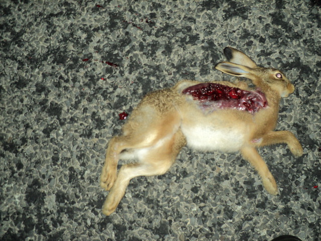 Name:  picture 2522.jpg
Views: 315
Size:  165.1 KB