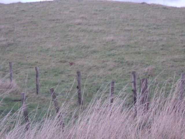 Name:  picture 01 3416.jpg
Views: 248
Size:  164.3 KB