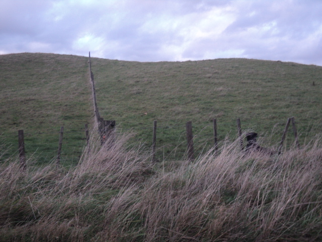Name:  picture 01 3417.jpg
Views: 227
Size:  165.0 KB