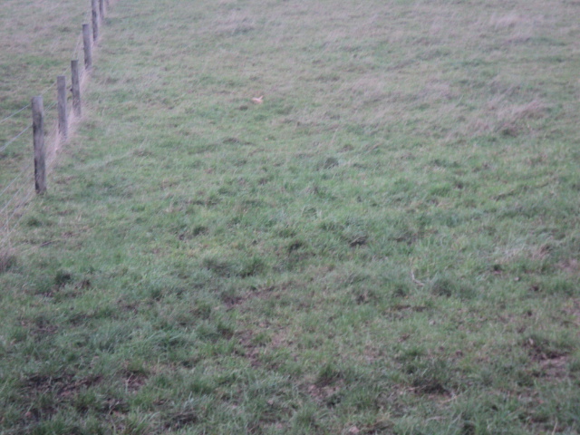 Name:  picture 01 3418.jpg
Views: 255
Size:  162.9 KB