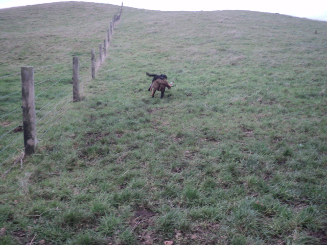 Name:  picture 01 3419.jpg
Views: 217
Size:  164.8 KB