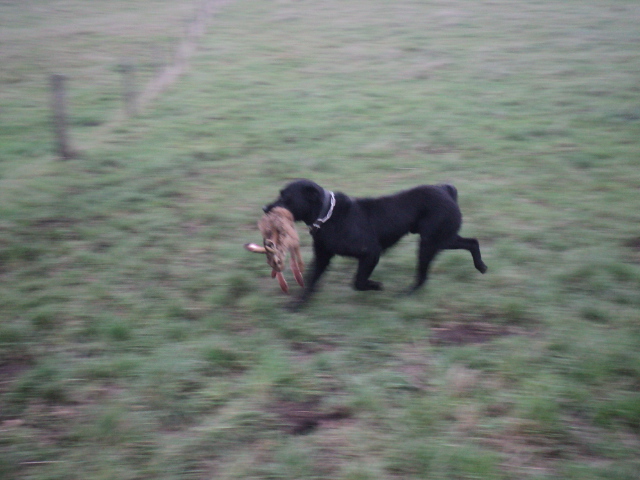 Name:  picture 01 3420.jpg
Views: 205
Size:  161.9 KB