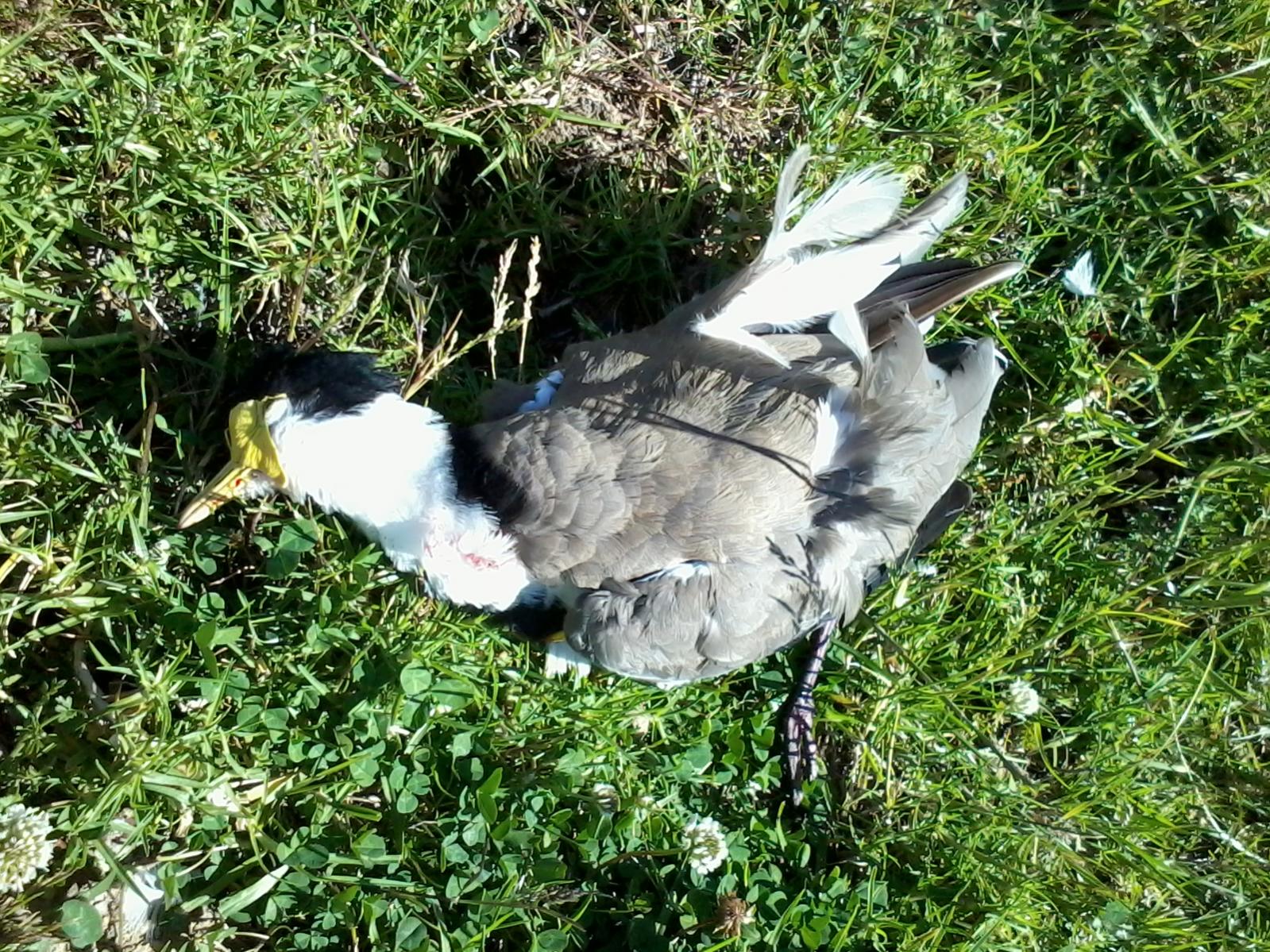 Name:  2013-11-29 16.34.56.jpg
Views: 382
Size:  468.3 KB