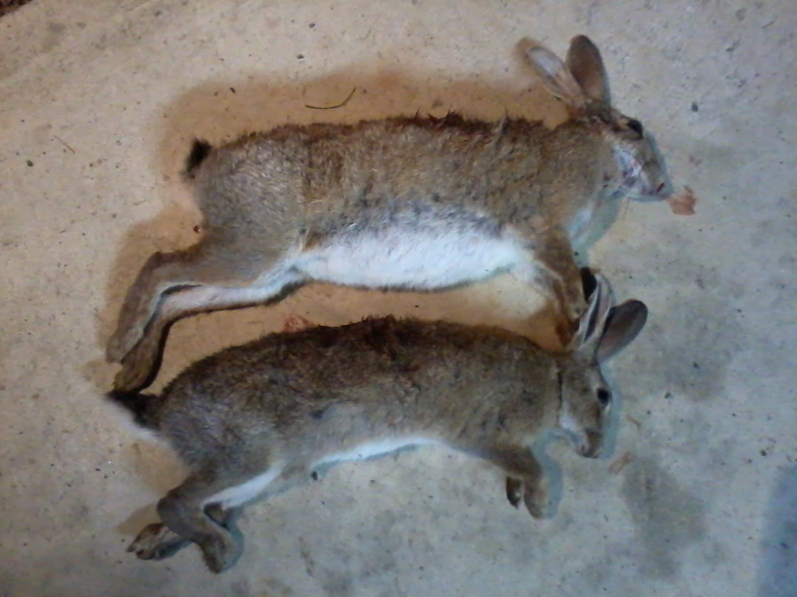 Name:  2013-11-29 23.04.54.jpg
Views: 365
Size:  465.4 KB