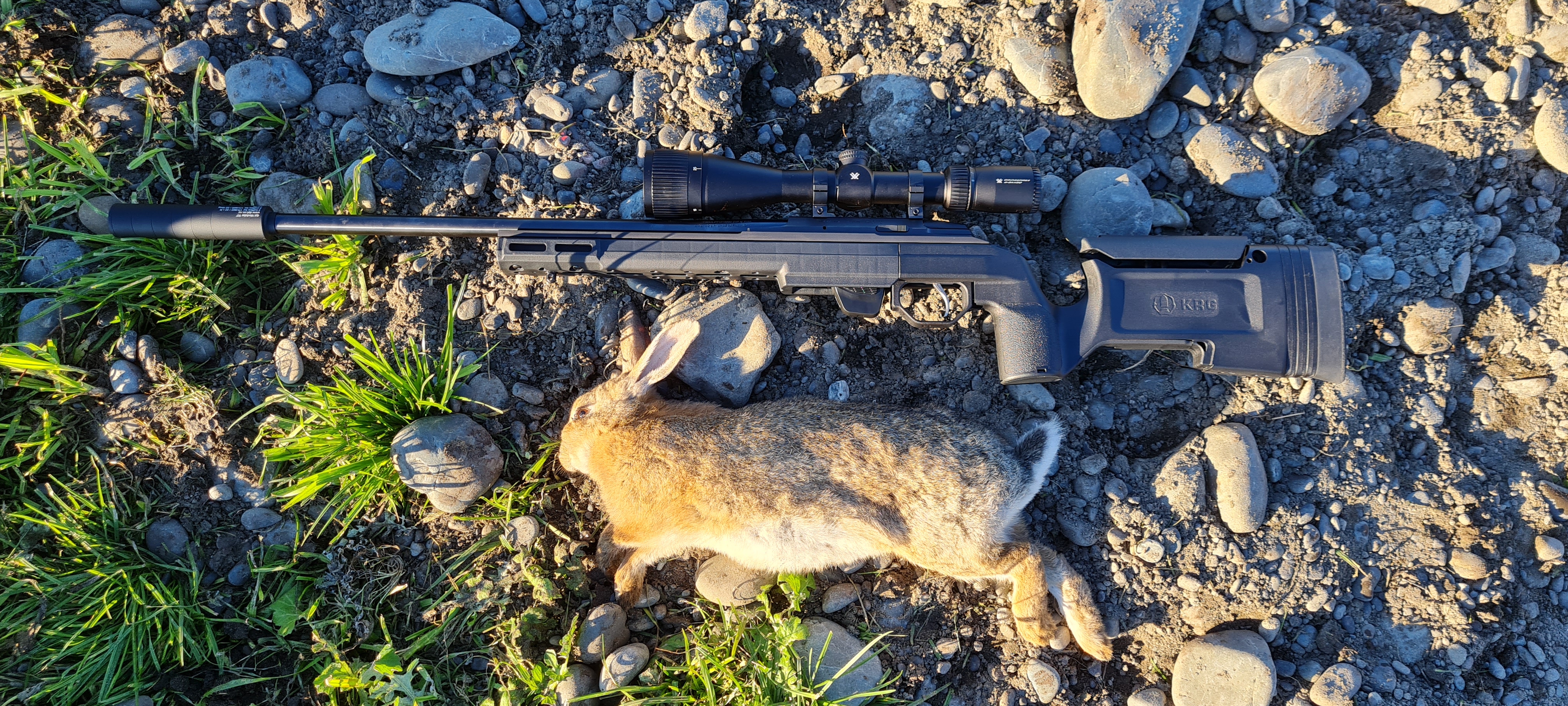 Name:  bunny - Copy.jpg
Views: 458
Size:  3.66 MB