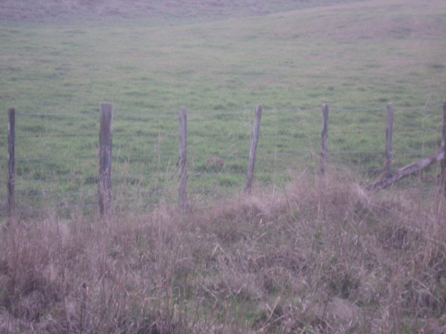 Name:  picture 01 3740.jpg
Views: 236
Size:  159.8 KB