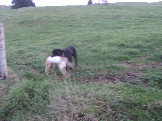 Name:  picture 01 3741.jpg
Views: 238
Size:  163.6 KB