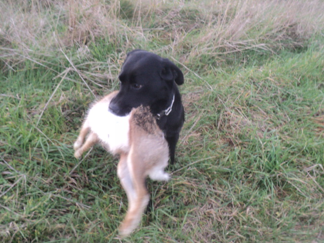 Name:  picture 01 3742.jpg
Views: 233
Size:  164.4 KB