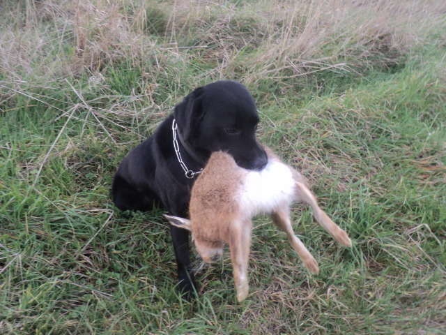 Name:  picture 01 3744.jpg
Views: 231
Size:  164.8 KB