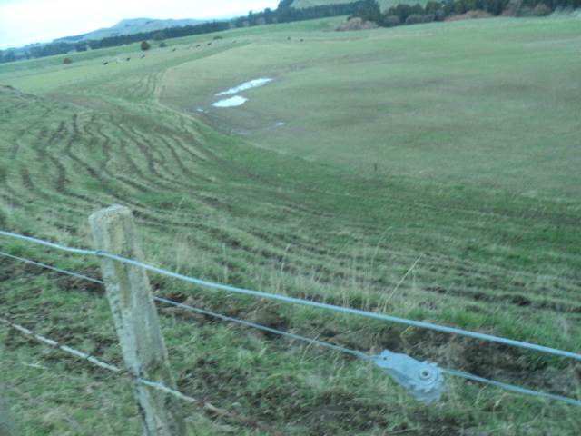 Name:  picture 01 3745.jpg
Views: 229
Size:  163.3 KB