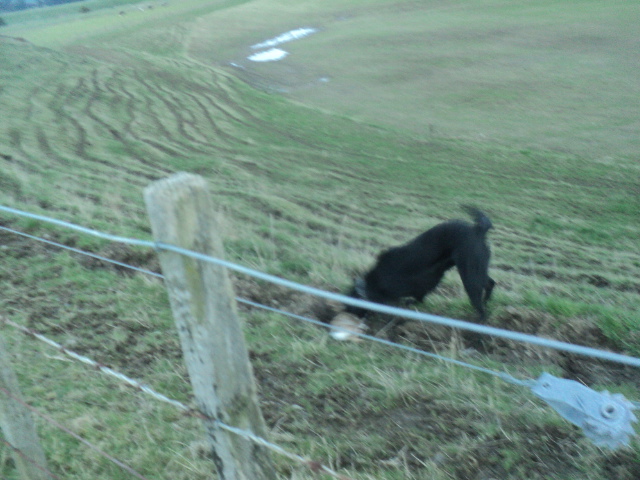 Name:  picture 01 3748.jpg
Views: 221
Size:  163.0 KB