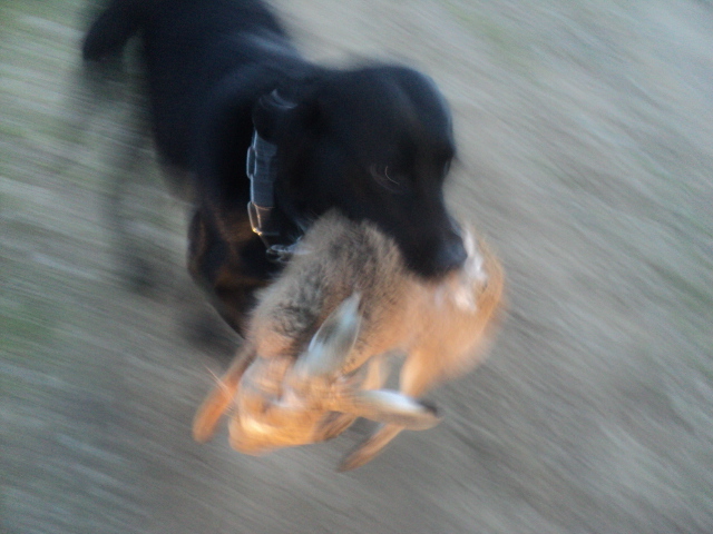 Name:  picture 01 3749.jpg
Views: 233
Size:  164.8 KB