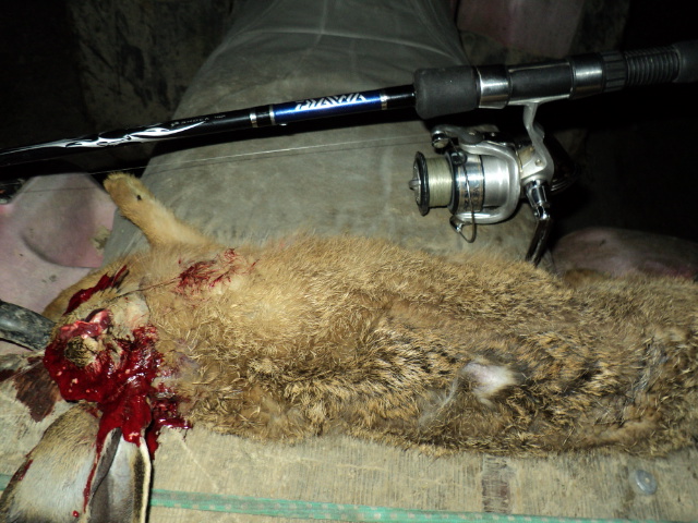 Name:  picture 2652.jpg
Views: 453
Size:  164.6 KB