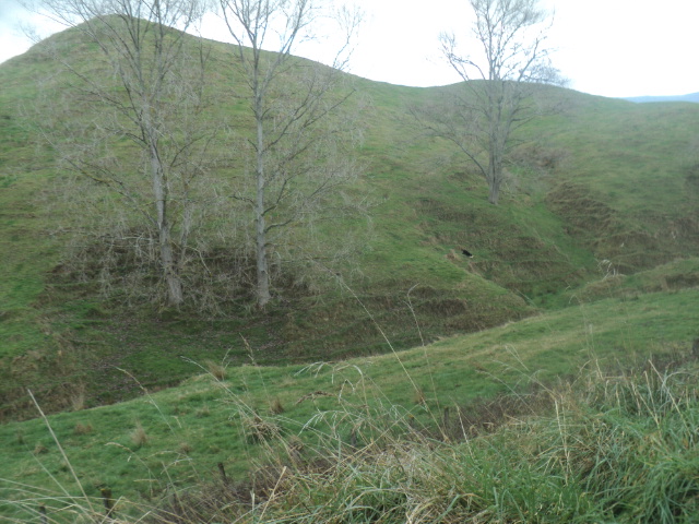 Name:  picture 01 3812.jpg
Views: 242
Size:  162.0 KB