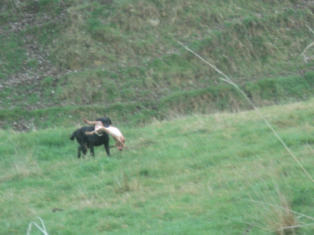 Name:  picture 01 3814.jpg
Views: 266
Size:  164.5 KB
