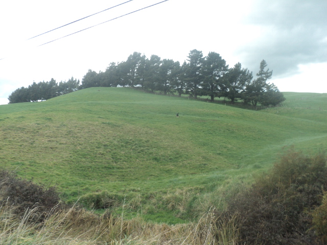 Name:  picture 01 3954.jpg
Views: 340
Size:  162.7 KB